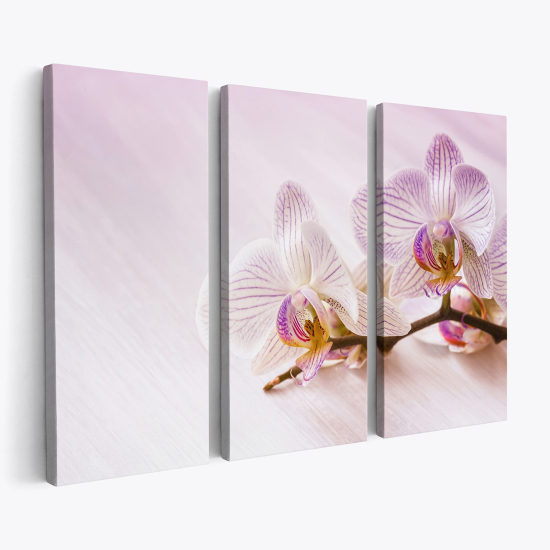 Stampa Trittico su tela - Orchidee