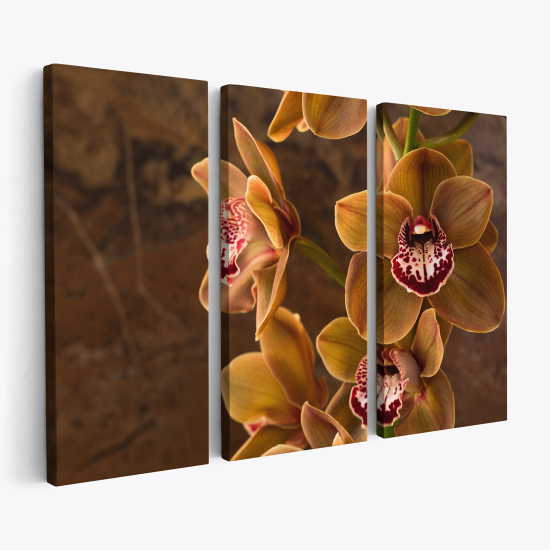 Stampa Trittico su tela - Orchidee