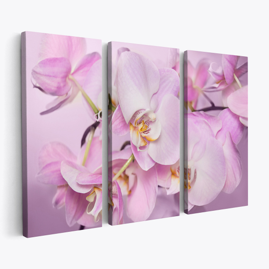 Stampa Trittico su tela - Orchidee