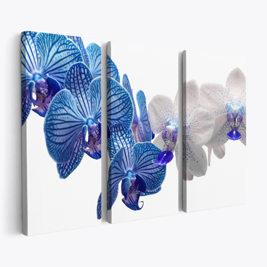 Stampa Trittico su tela - Orchidee