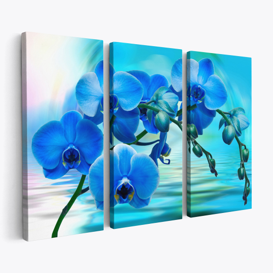 Stampa Trittico su tela - Orchidee blu