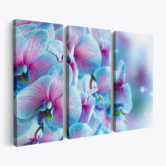 Stampa Trittico su tela - Orchidee colorate