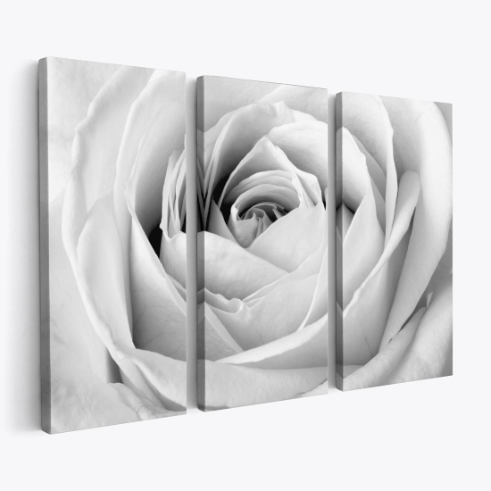 Stampa Trittico su tela - Rosa bianca
