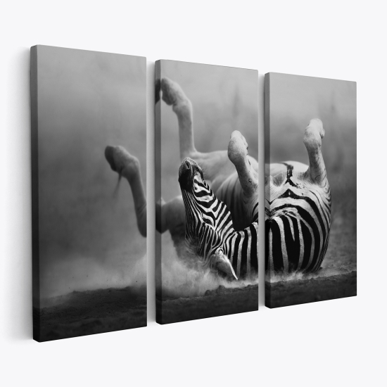 Stampa Trittico su tela - Zebra