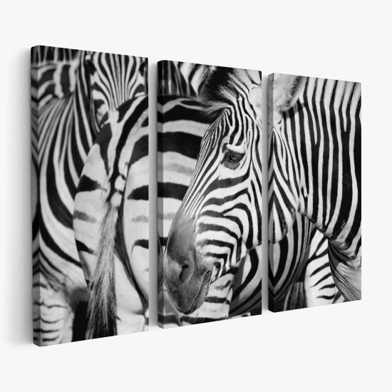Stampa Trittico su tela - Zebre