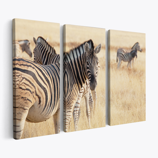 Stampa Trittico su tela - Zebre Savana